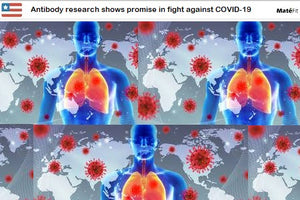 Antibody research : Shows promise in fight against COVID-19