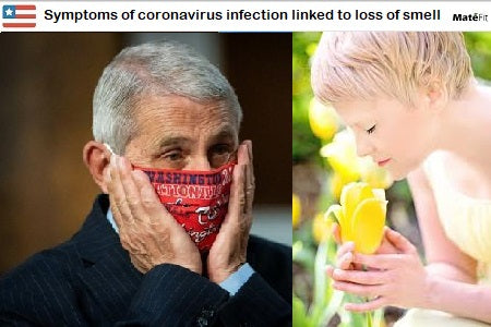 Symptoms of coronavirus infection linked to loss of smell